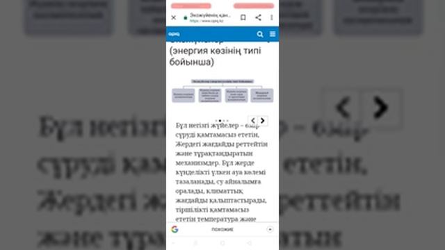 5 сынып. Жаратылыстану. Экожүйелер 1 сабақ