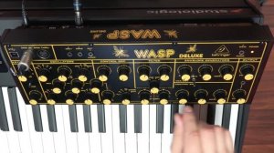 Behringer WASP Deluxe - Quick Demo (Sounds Only)