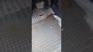 Как удалить влагу из автомобиля, и как убрать воду с ковров