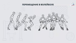 Перемещение игрока в волейболе