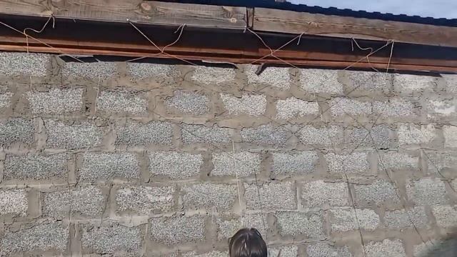 Уборка в ограде. Обзор хост. Перекопка клумбы. Сорняки.Мой способ плетения сетки для вьюнов Ипомеи. смотреть онлайн