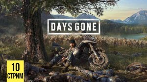 (СТРИМ) Days Gone #10