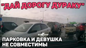 Автоподборка "Дай Дорогу Дураку"Баба за Рулём#338