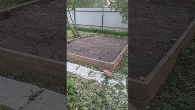 Все удачные способы посадки картофеля . Картофель рассадой . Лучшие сорта.