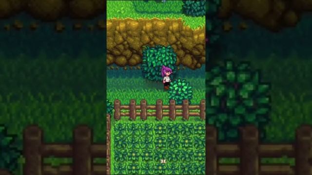 STARDEW VALLEY // Секретные артефакты Джунимо