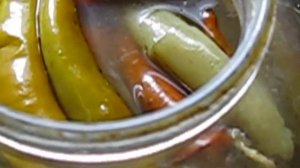 Перец квашеный горький жгучий и даже Чили