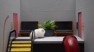 If My Hamster Was In GARTEN OF BANBAN - Hamster Escapes The Awesome Maze With Traps
