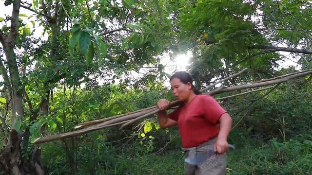 survival in the rainforest-Found pleurotus eryngii with big fish  cooking -Eating delicious HD