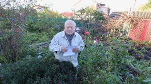 Когда вам применять АКЧ и когда сыворотку? Сколько и зачем? Советы от Распопова.