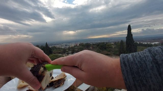 Сметанное яблоко. Это самый вкусный фрукт что я пробовал. Израильская Гуанабана / Аннона / Гравиола