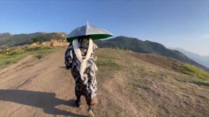 ГОРНЫЙ ДАГЕСТАН. ХУНЗАХ И ГООР. КАМЕННЫЕ ЧАШИ. САЛКИНСКИЙ ВОДОПАД. ДОСТОПРИМЕЧАТЕЛЬНОСТИ ДАГЕСТАНА