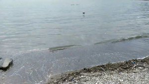 ДОМ РЫБАКА в Джубге.Отель в море. Отдых 2021.