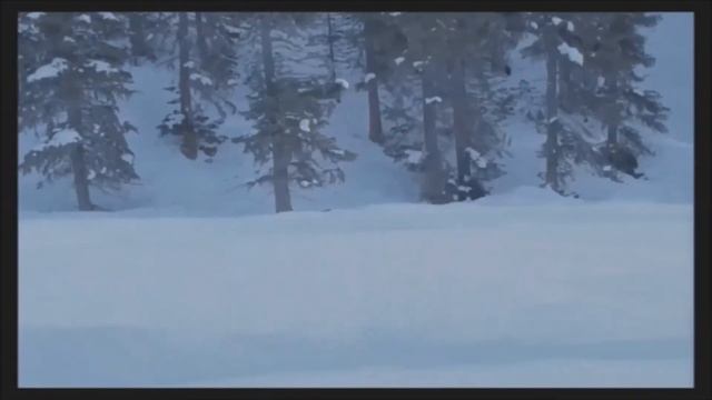 17 + Белышева Дарья, Бажутина Анастасия, Партусова Кристина смотреть онлайн