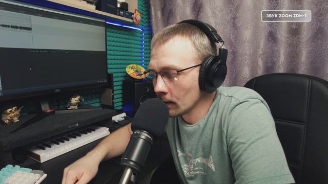 Zoom ZDM-1 Обзор от подписчика. Динамический микрофон  наушники.