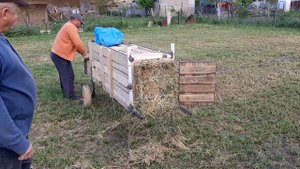 Тюкуем люцерну самодельным прессом.