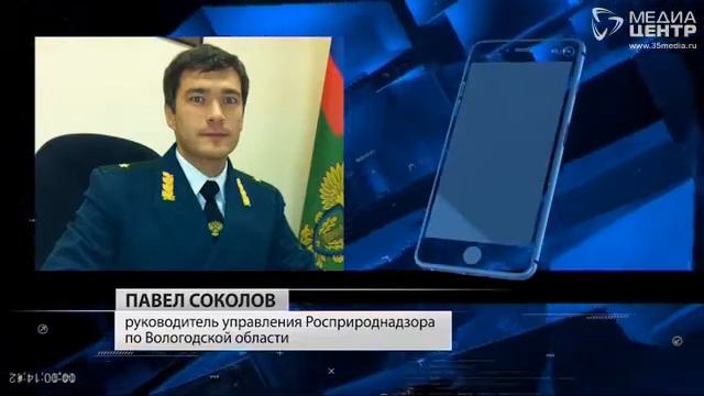 «Череповецкий мясокомбинат» закрыли на 80 суток смотреть онлайн