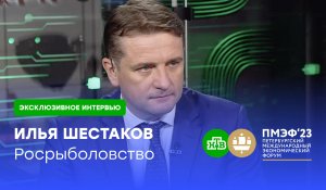 Глава Росрыболовства объяснил, почему осетрина в РФ не станет «народной» | ПМЭФ-2023