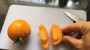 Томат Апельсин