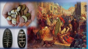 Раковины каури - древние деньги на земле