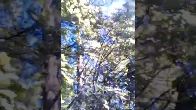 Я Сашой сестрой качаюсь на качелях