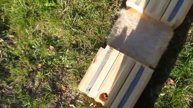 MVI 0156 смотреть онлайн