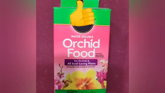 phalenopsis orchid care easy!! смотреть онлайн