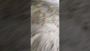 Замена сцепления на Оке