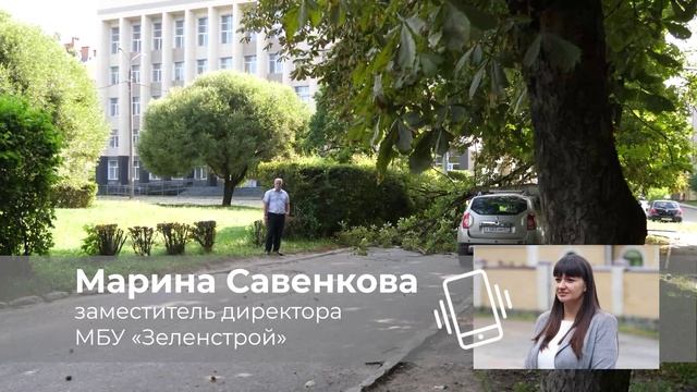 В Смоленске ликвидируют последствия падения деревьев