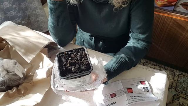 Посылка из интернет-магазина  " Procvetok " .