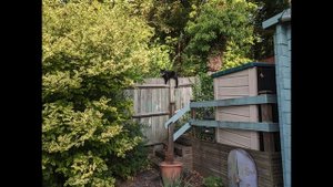 Google Pixel 8 Pro Camera Review vs Pixel 8 | Worth that £300 Extra?