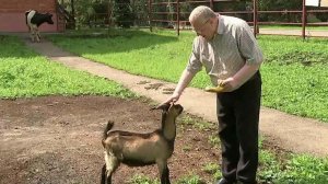 Владимир Жириновский и Геннадий Зюганов поделились опытом ведения сельского хозяйства