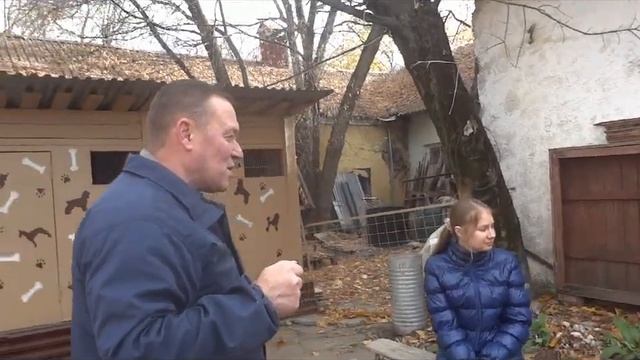 Особенности дрессировки акита-ину смотреть онлайн