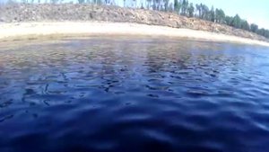 Обкатка лодочного мотора Gladiator 9.8 + рыбалка 6.06.2020