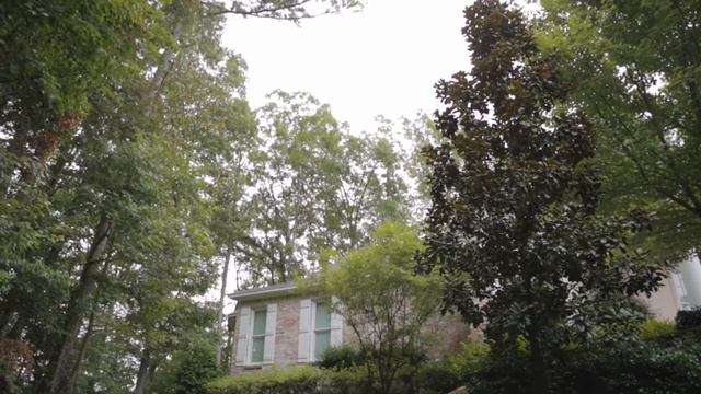 Plant Profile: Little Gem Magnolia смотреть онлайн