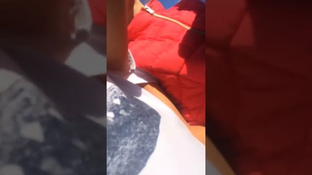 Экскурсия по пасике смотреть онлайн