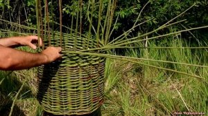 Простое плетение из летних прутьев ивы. НАШЁЛ, НАРЕЗАЛ, СПЛЁЛ.