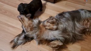 мама Ася с сыном Энди?