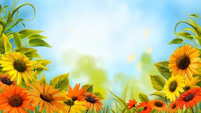 Цветочный Фон Желтые Ромашки смотреть онлайн