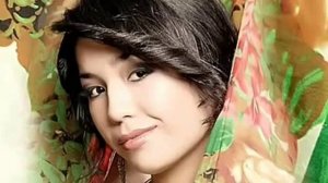 TOYBOB SHO‘X QOSHIQLAR 2020