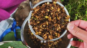 Полкило червей: покупаем вкусняшки  на рынке