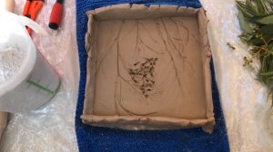 БОТАНИЧЕСКИЙ БАРЕЛЬЕФ С ПОТАЛЬЮ. ИСПРАВЛЯЕМ ОШИБКИ