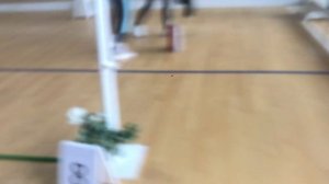 Мои первые соревнования по хоббихорсингу!