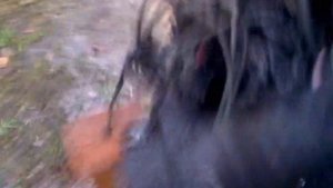 VOLVO PENTA 4.3 SOUND