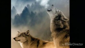 Хрустальный замок песня