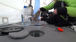 ПОПАЛИ НА РАЗДАЧУ РЫБЫ! ДВА ДНЯ В ПАЛАТКЕ НА ЛЬДУ!