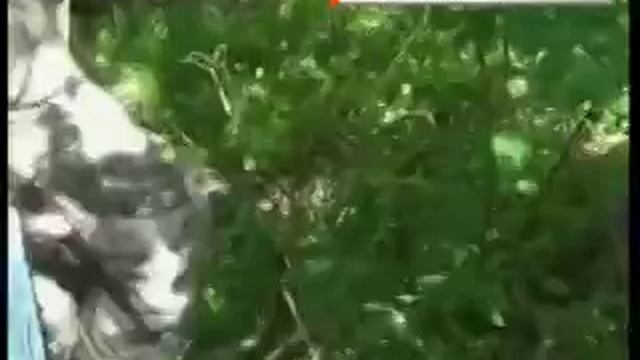 Убийце Ульяны Мальцевой суд вынес приговор