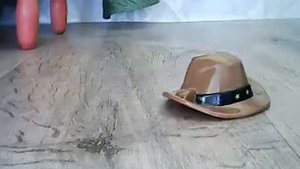 Живая шляпа