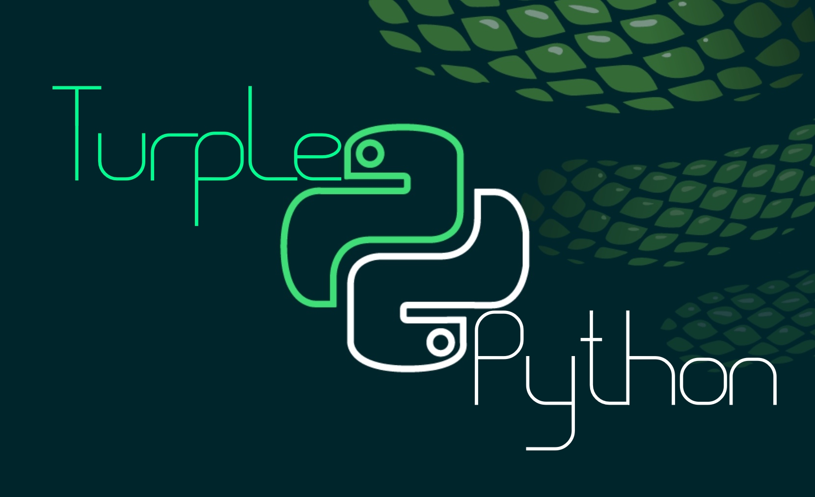 Авторисовка.Ковер Серпинского.PYTHON[Turple]