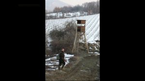 Ружьё Fausti Stefano. Хорошее оружие для охоты. (Метелев Сергей)