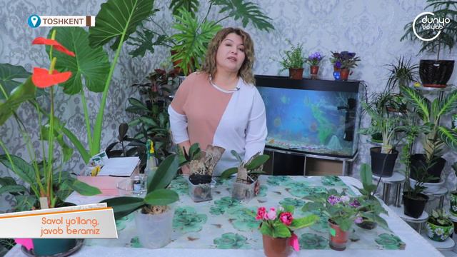 landshaft uz 3 mavsum 15 soni 09 04 2022 смотреть онлайн